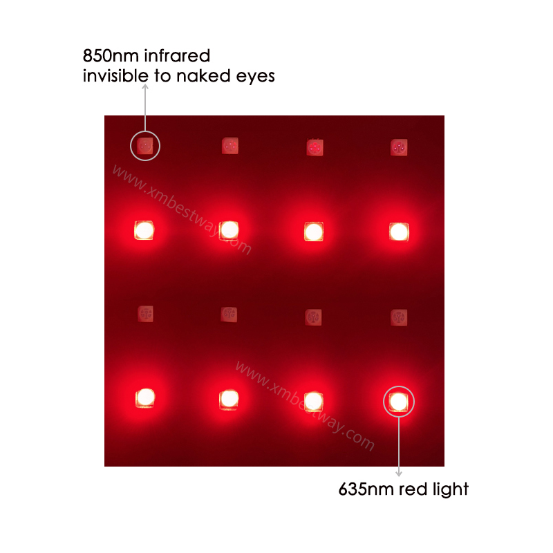 Schlankheitsgürtel,...